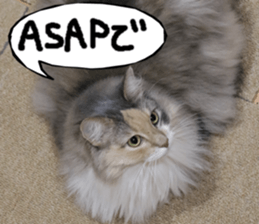 Instead tell the cat part3 sticker #13490572