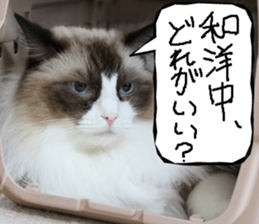 Instead tell the cat part3 sticker #13490575