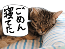 Instead tell the cat part3 sticker #13490579