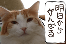 Instead tell the cat part3 sticker #13490585