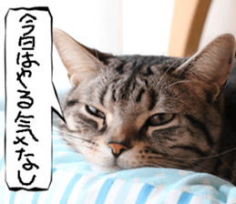 Instead tell the cat part3 sticker #13490587