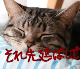 Instead tell the cat part3 sticker #13490588