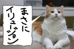 Instead tell the cat part2 sticker #13491911