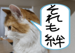 Instead tell the cat part2 sticker #13491915