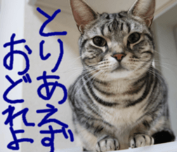 Instead tell the cat part2 sticker #13491918