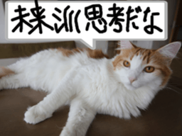 Instead tell the cat part2 sticker #13491920