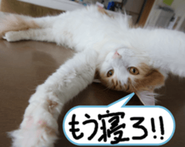 Instead tell the cat part2 sticker #13491921