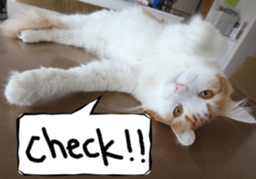 Instead tell the cat part2 sticker #13491922