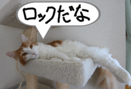 Instead tell the cat part2 sticker #13491926