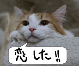 Instead tell the cat part2 sticker #13491928