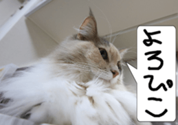 Instead tell the cat part2 sticker #13491935