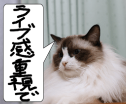 Instead tell the cat part2 sticker #13491939