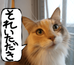 Instead tell the cat part2 sticker #13491944