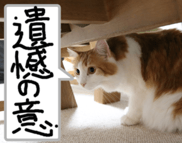 Instead tell the cat part2 sticker #13491947