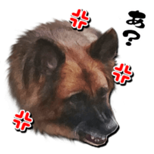 RINRIN & AHTAN Live-action version sticker #13492537