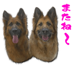 RINRIN & AHTAN Live-action version sticker #13492539