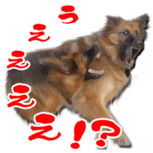 RINRIN & AHTAN Live-action version sticker #13492540