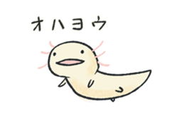 Larvae of Axolotl sticker #13492798