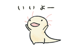 Larvae of Axolotl sticker #13492806