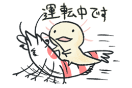 Larvae of Axolotl sticker #13492816