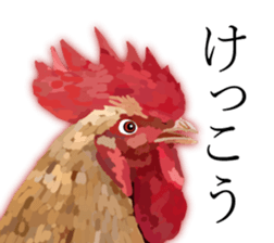 Chitchat of Birds sticker #13492831