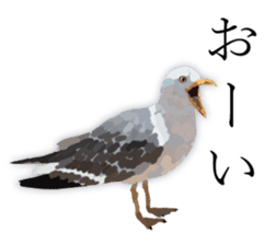 Chitchat of Birds sticker #13492842