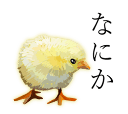 Chitchat of Birds sticker #13492844