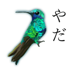 Chitchat of Birds sticker #13492849