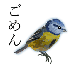 Chitchat of Birds sticker #13492853