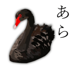 Chitchat of Birds sticker #13492857