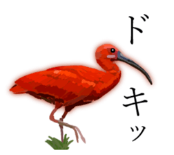 Chitchat of Birds sticker #13492858
