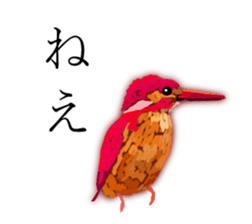 Chitchat of Birds sticker #13492860