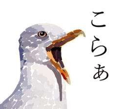Chitchat of Birds sticker #13492861