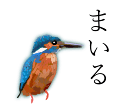 Chitchat of Birds sticker #13492862