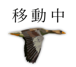 Chitchat of Birds sticker #13492863