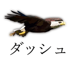 Chitchat of Birds sticker #13492865