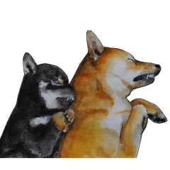 Shiba Inu Sisters and friends - 3