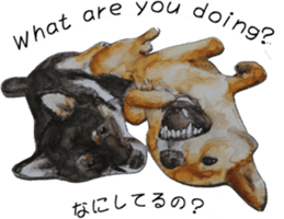 Shiba Inu Sisters and friends - 3 sticker #13493463