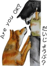 Shiba Inu Sisters and friends - 3 sticker #13493464