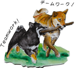 Shiba Inu Sisters and friends - 3 sticker #13493465