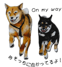 Shiba Inu Sisters and friends - 3 sticker #13493467
