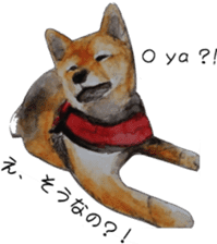 Shiba Inu Sisters and friends - 3 sticker #13493469