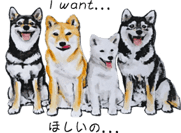 Shiba Inu Sisters and friends - 3 sticker #13493471