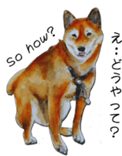 Shiba Inu Sisters and friends - 3 sticker #13493472