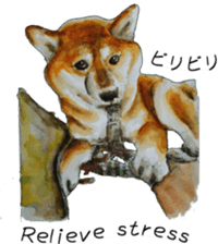 Shiba Inu Sisters and friends - 3 sticker #13493476