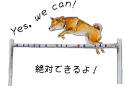 Shiba Inu Sisters and friends - 3 sticker #13493477