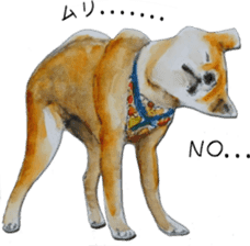 Shiba Inu Sisters and friends - 3 sticker #13493478