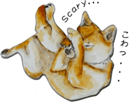 Shiba Inu Sisters and friends - 3 sticker #13493479