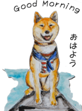 Shiba Inu Sisters and friends - 3 sticker #13493480