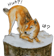 Shiba Inu Sisters and friends - 3 sticker #13493481